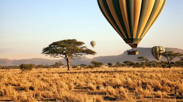 Hot air balloon above the savannah