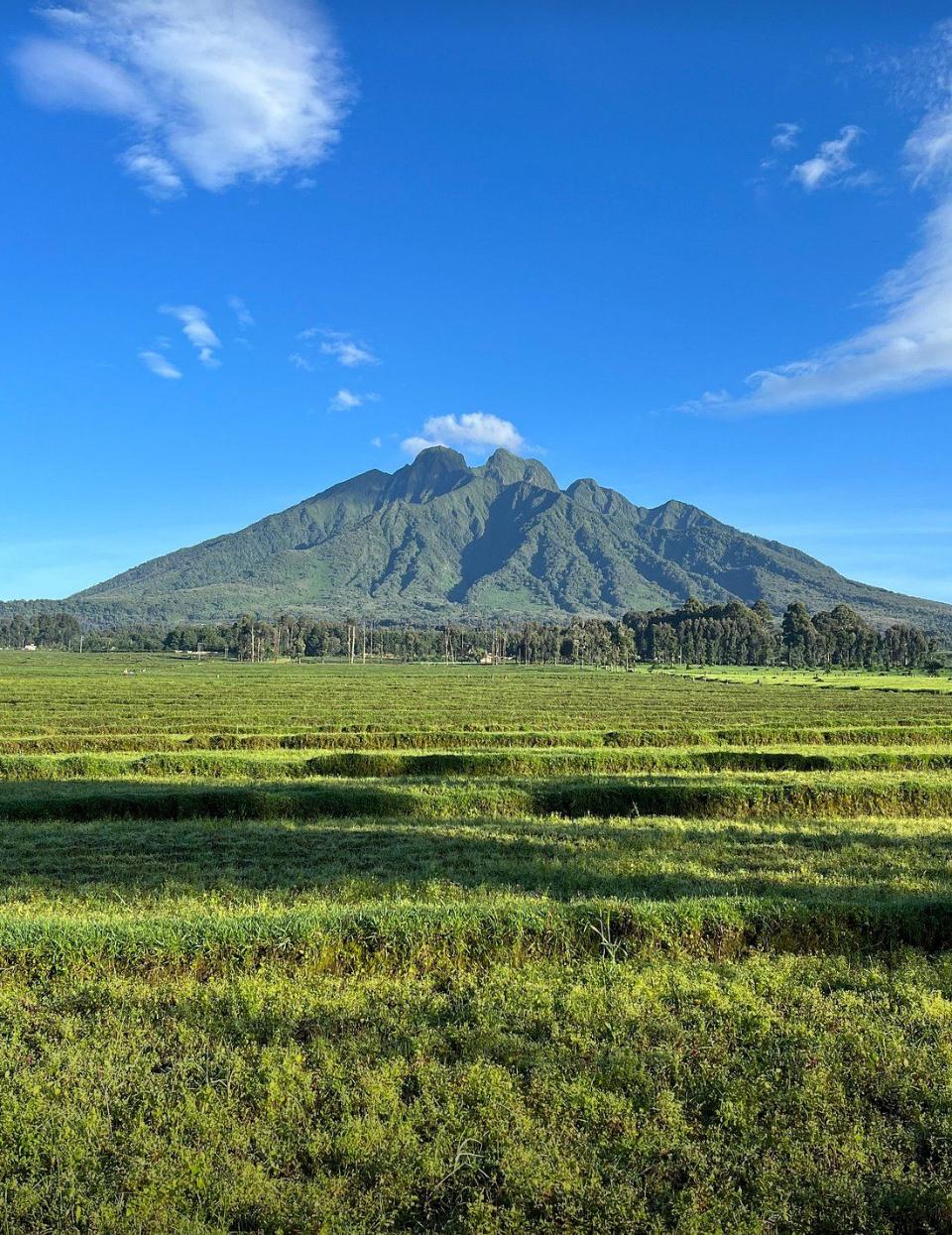 Volcanic mountains in Rwanda's Virunga region